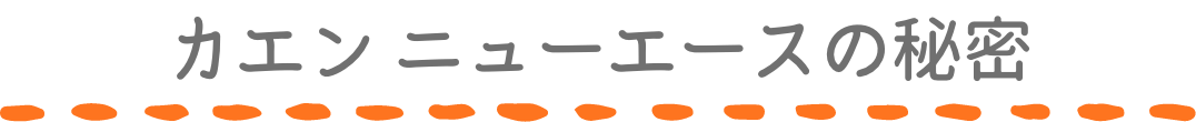 カエン ニューエースの秘密