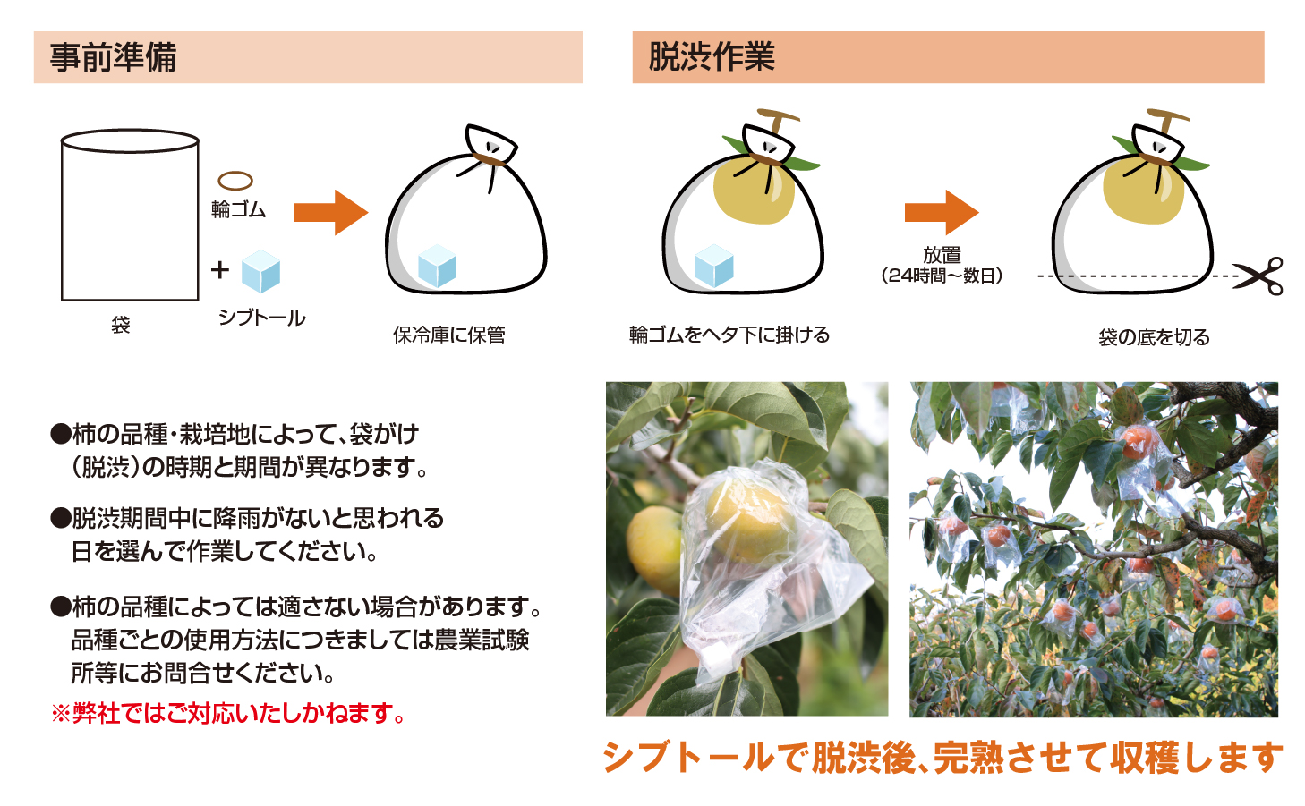 【HP用】画像データ_シブトール1.jpg